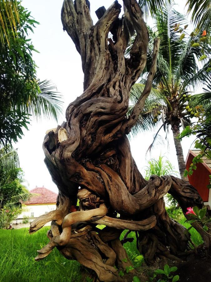 Coconut Gili Meno Hotel Bagian luar foto